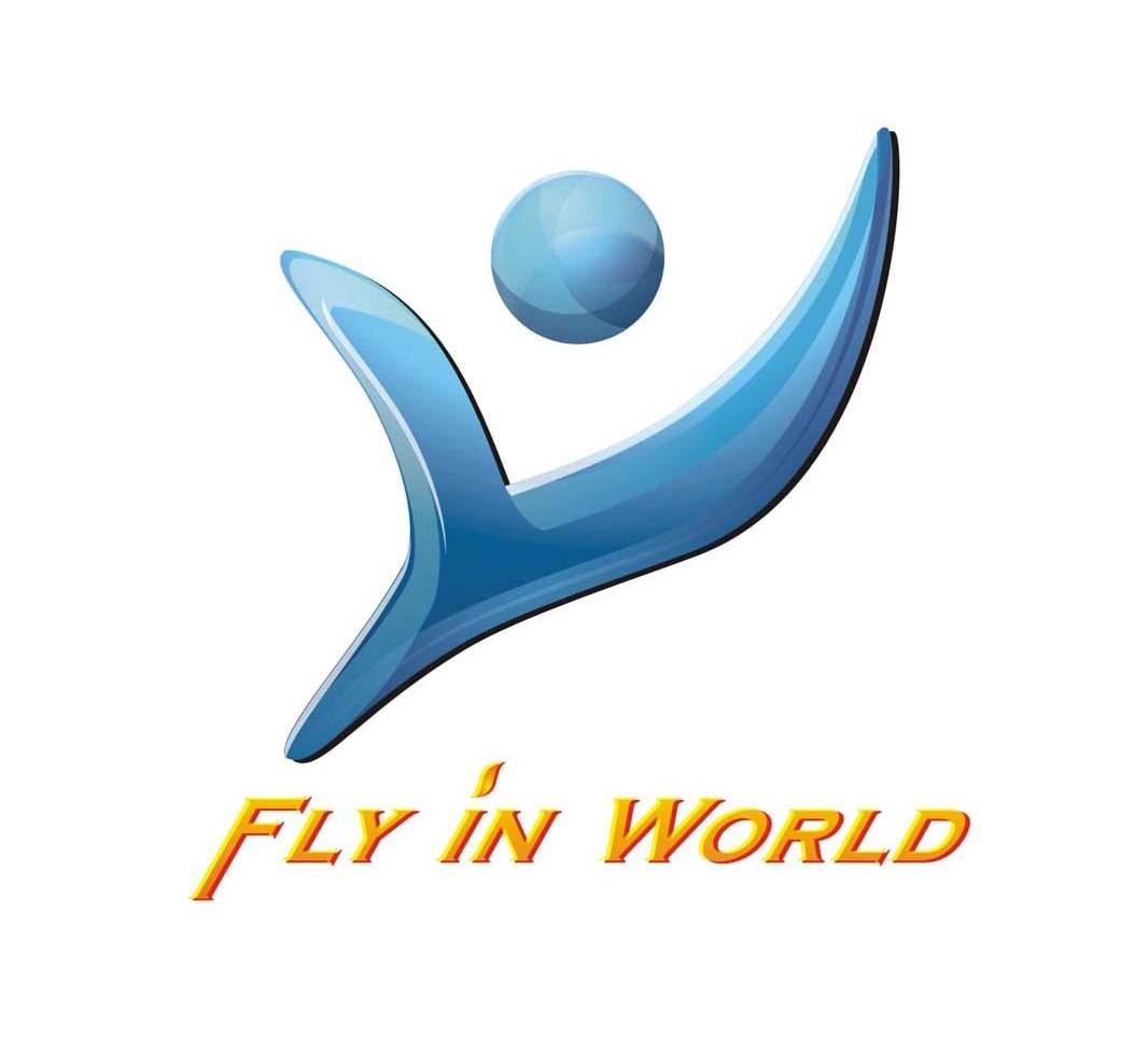 fly in world