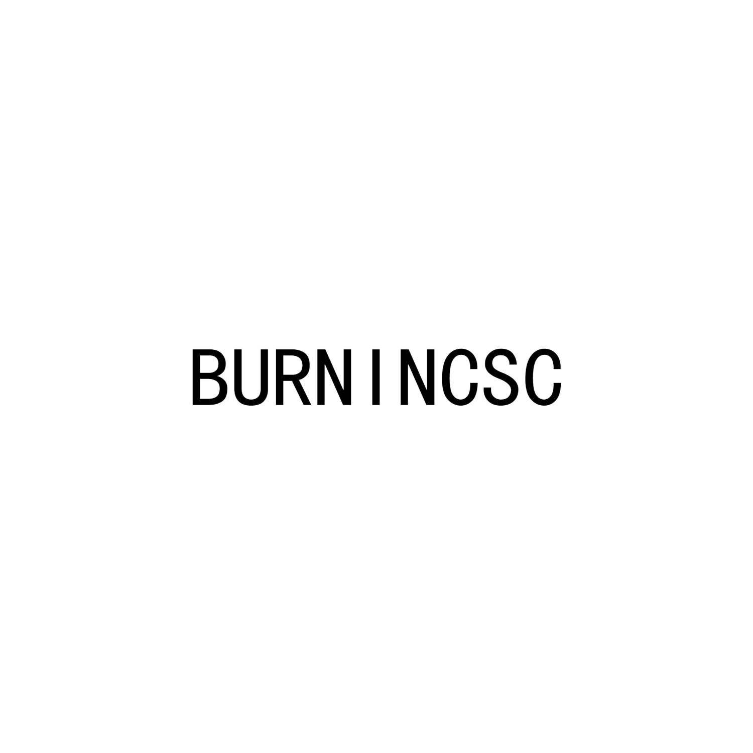 burnincsc