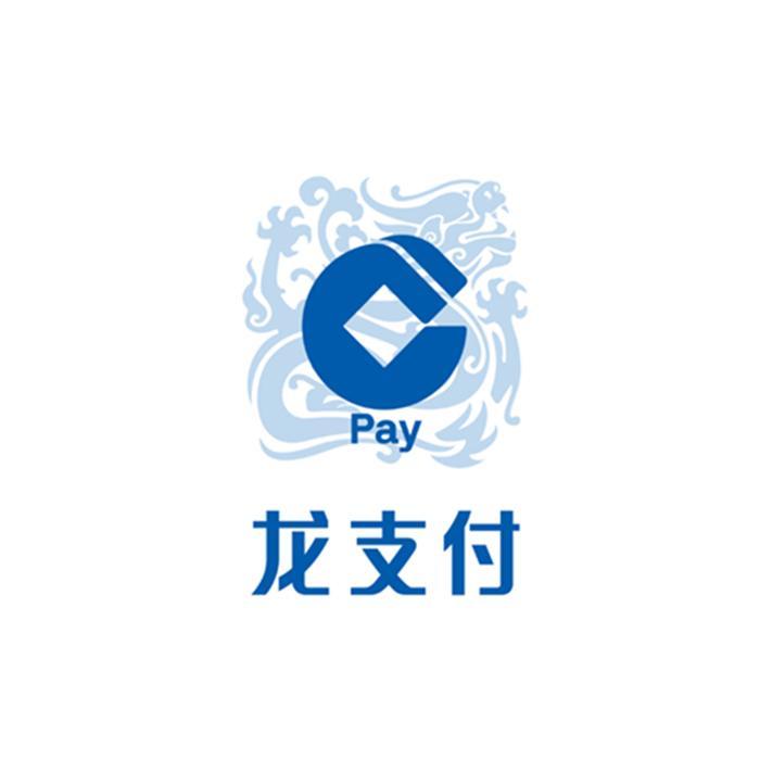 龙支付 pay