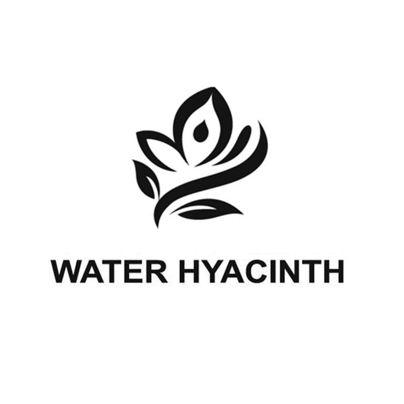 water hyacinth