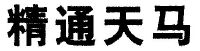 精通天马