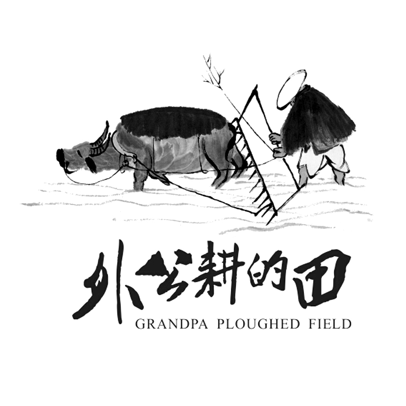 外公耕的田 grandpa ploughed field