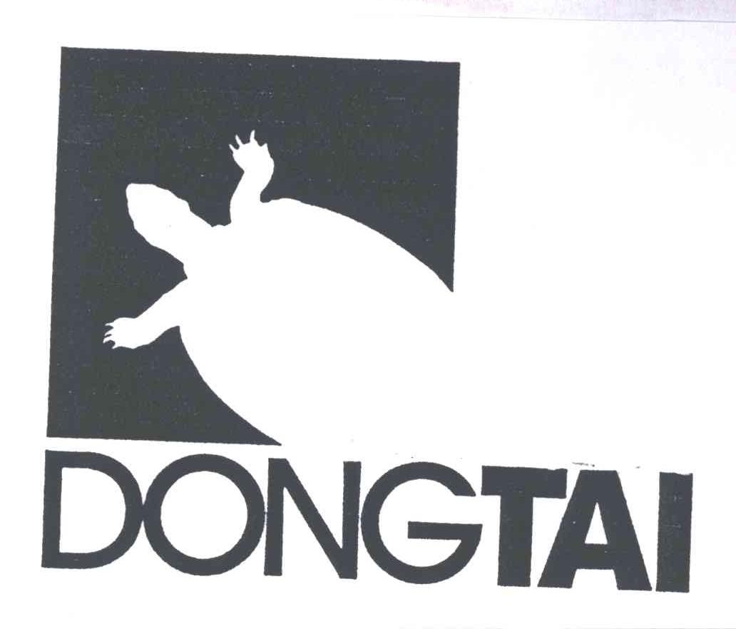 dongtai