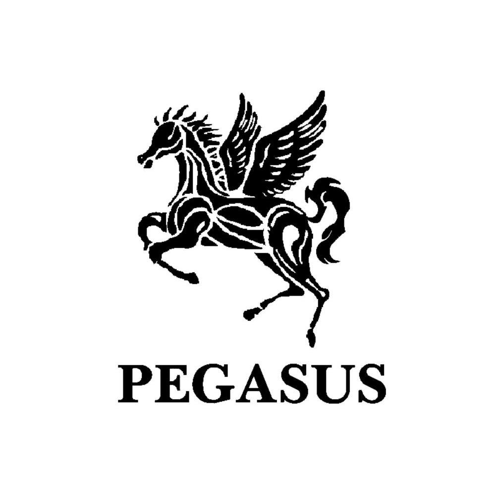 Pegasus,nike pegasus trail 3 pegasus