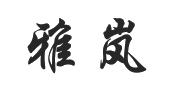 中山雅岚电器有限公司