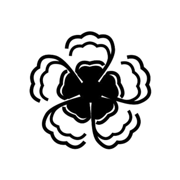 苏州真善美医疗投资有限公司