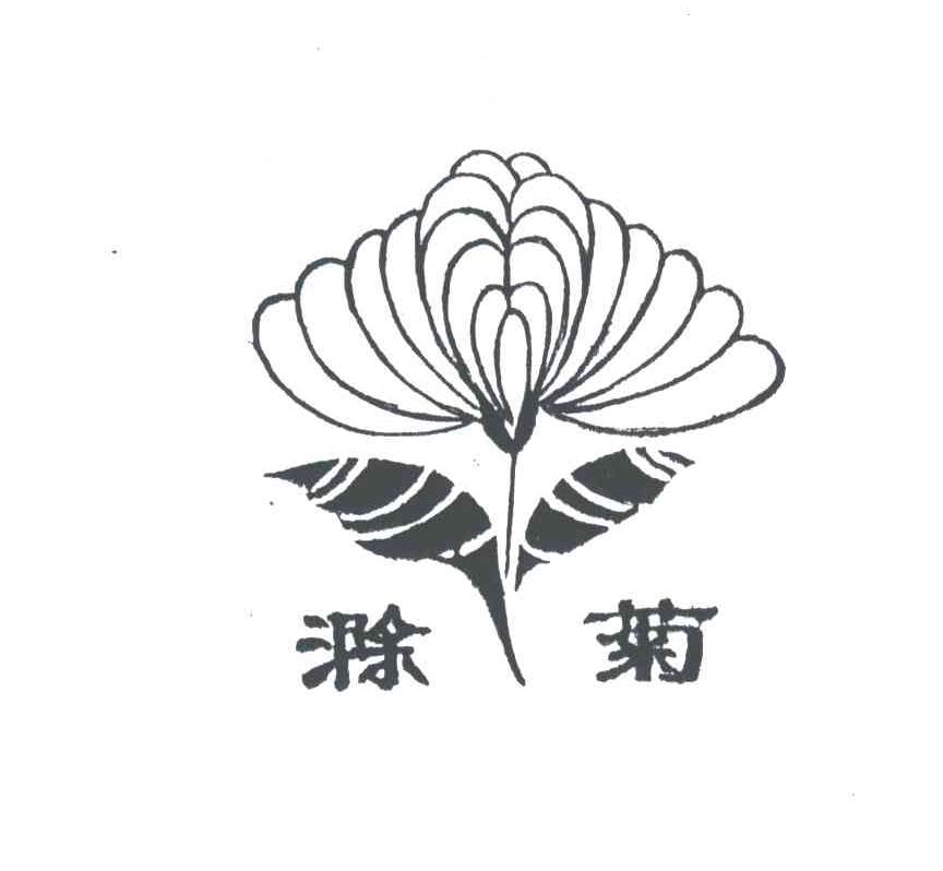 滁菊