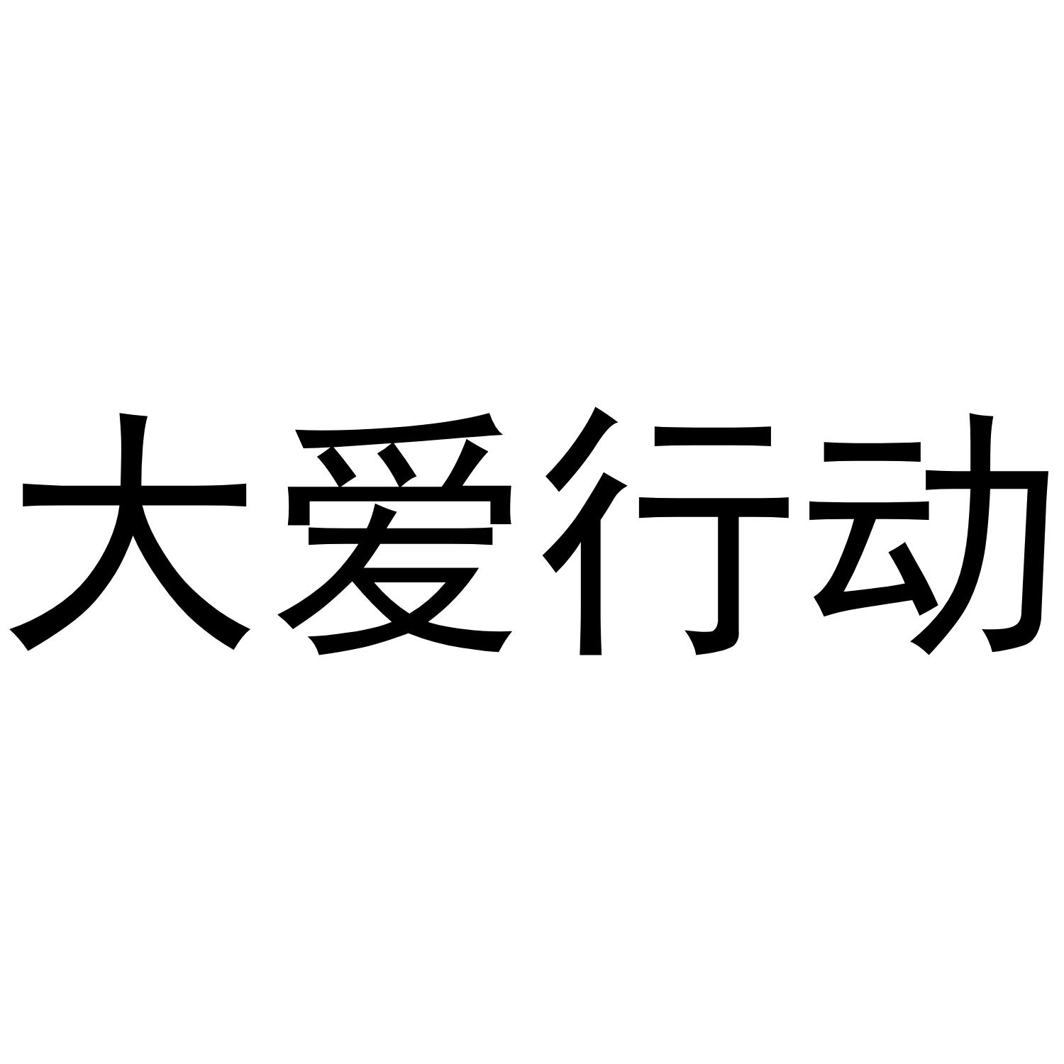 大爱行动