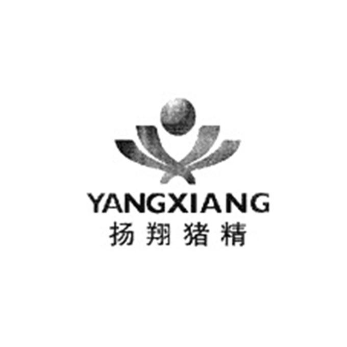 扬翔猪精;yangxiang