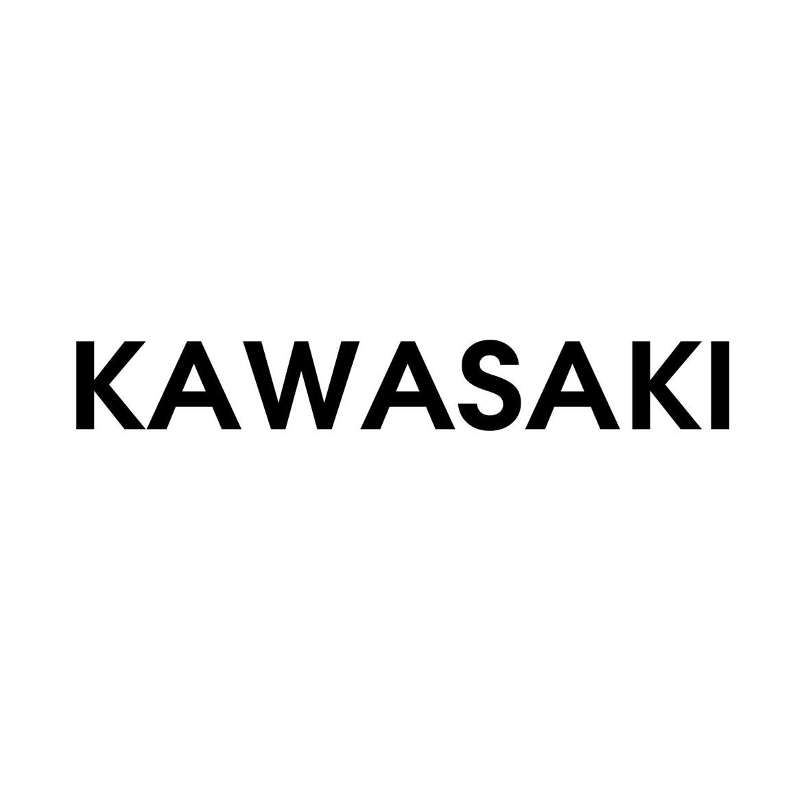 kawasaki_注册号23645833_商标注册查询 - 天眼查