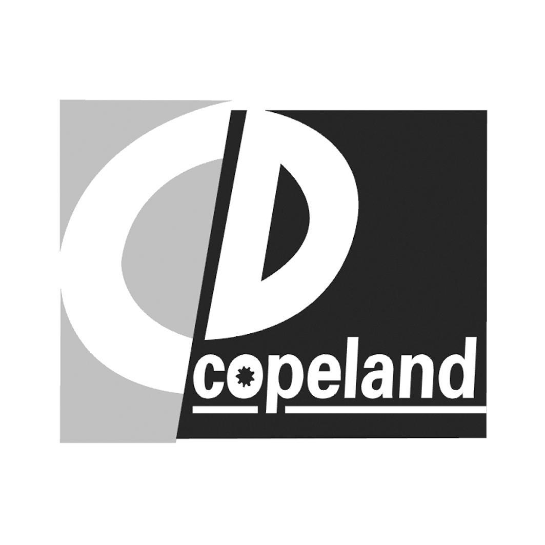 copeland_注册号175211_商标注册查询 - 天眼查