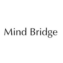 mindbridge