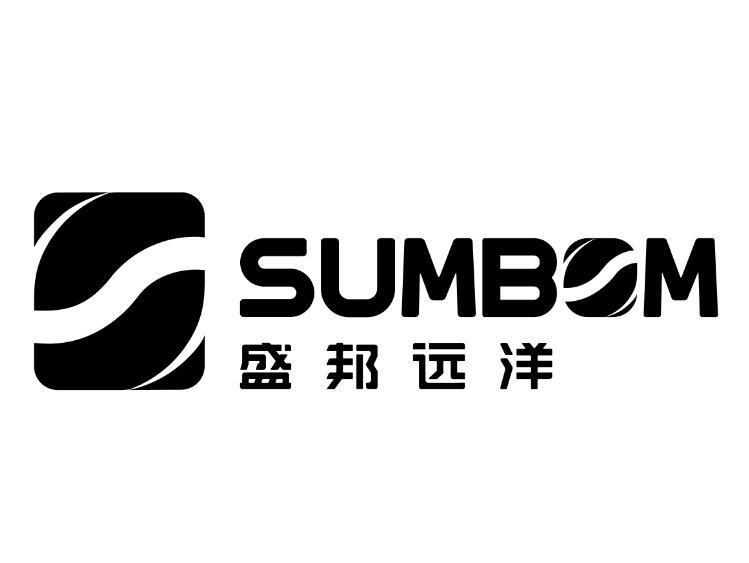 盛邦远洋股份有限公司