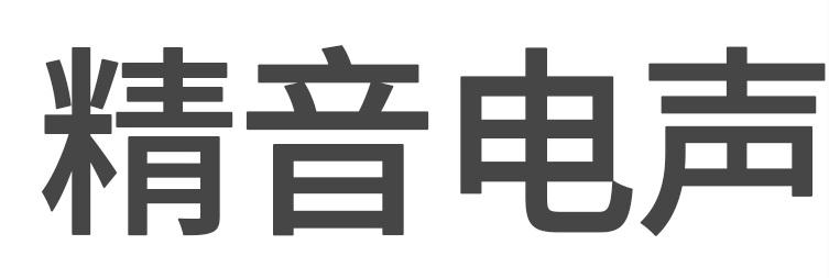 泰州精音电声科技有限公司