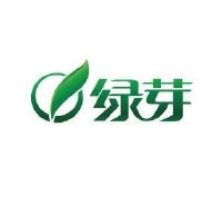 绿芽