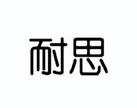 耐思