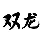 双龙