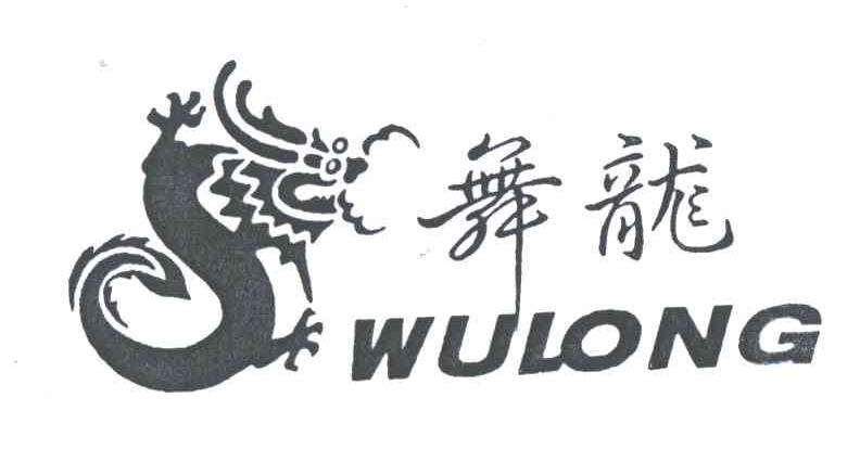舞龙