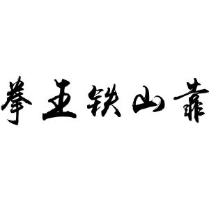 拳王铁山靠