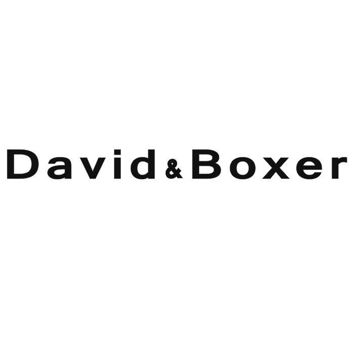 david&boxer