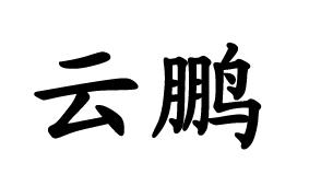云鹏