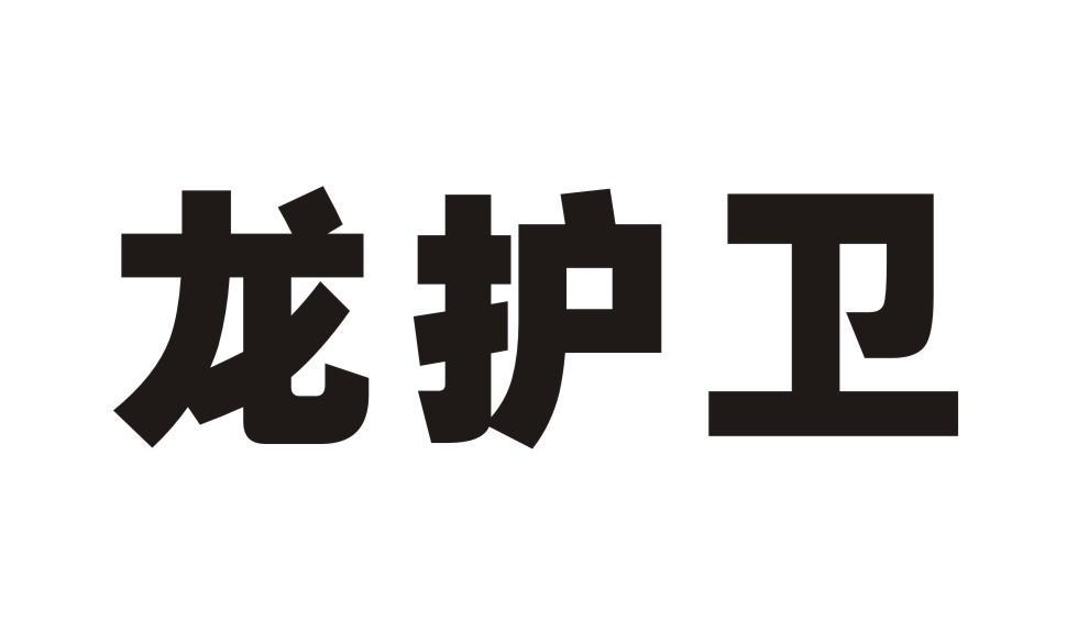 龙护卫