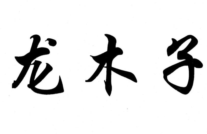 龙木子
