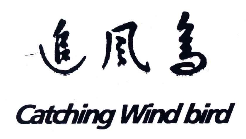 追风鸟;catching wind bird