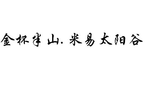 四川金杯半山集团有限公司