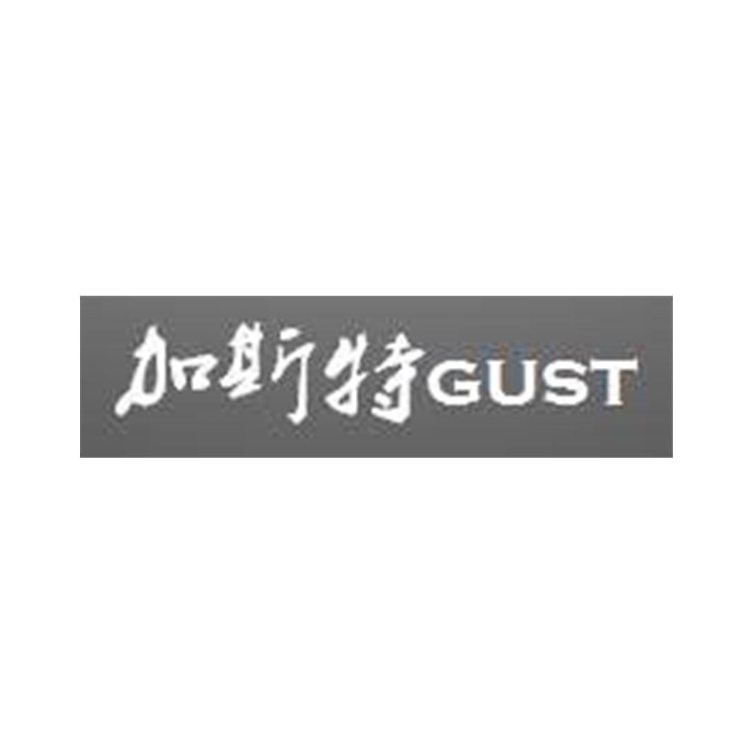 加斯特 gust