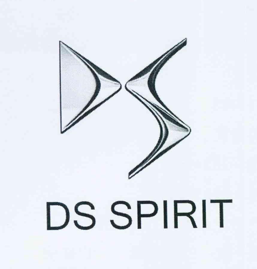 ds spirit