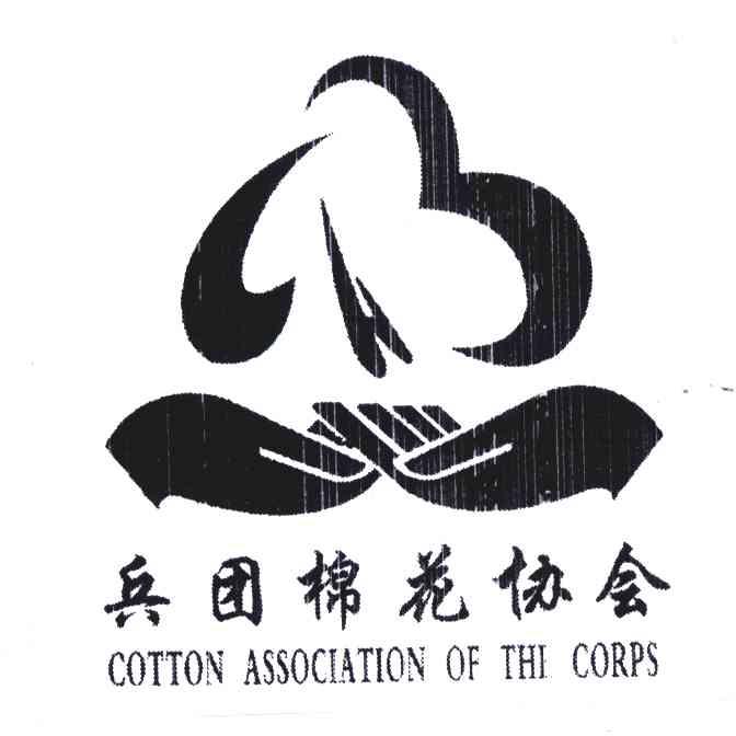 新疆生产建设兵团棉花协会