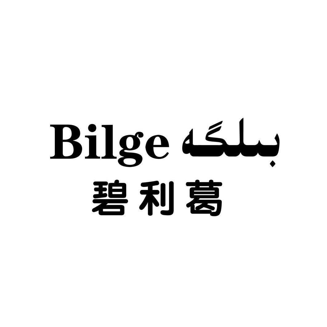 碧利葛 bilge