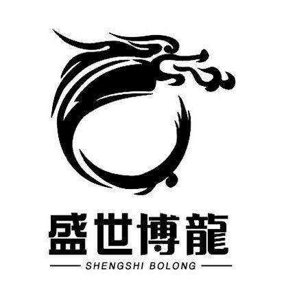 陕西博龙文化传播有限公司