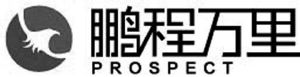 鹏程万里prospect