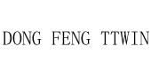 DONG FENG TTWIN