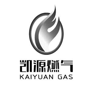 重庆凯源石油天然气有限责任公司_【信用信息