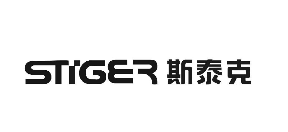 斯泰克投资有限公司