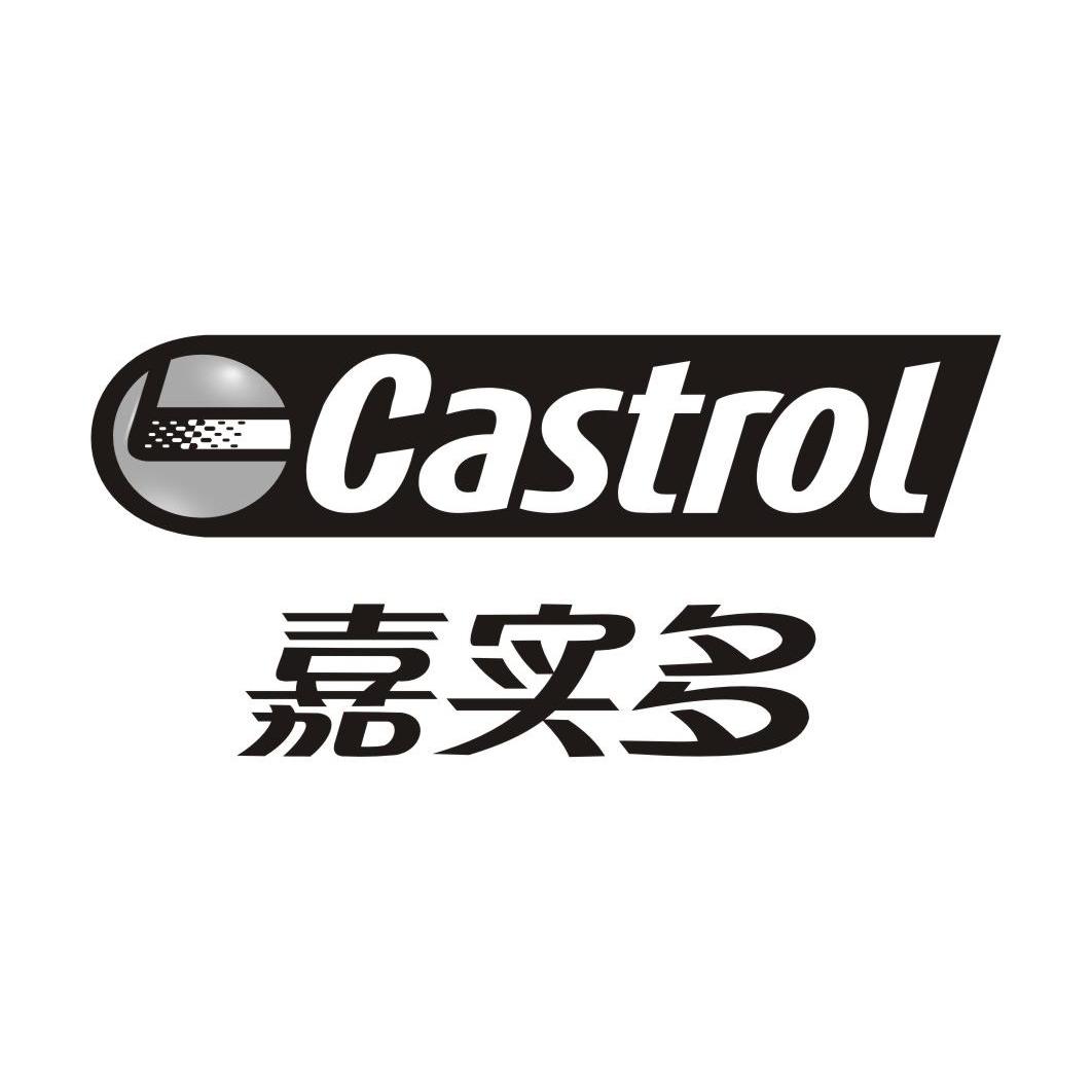 商标信息 15 2012-05-09 嘉实多 castrol 10889020 11-灯具空调 商标