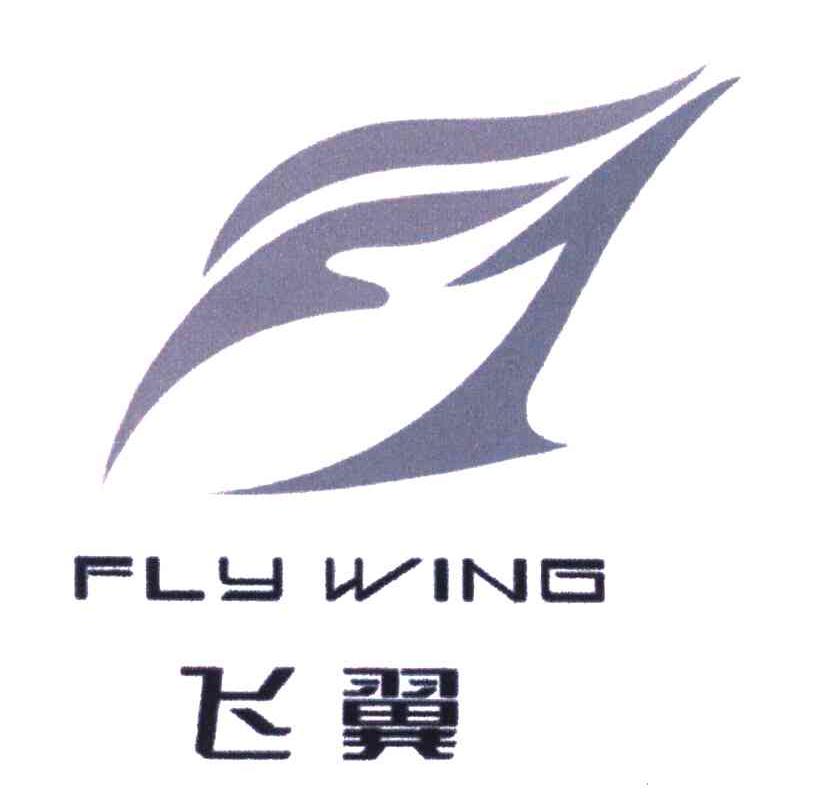 飞翼;fly wing