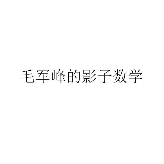 毛军峰的影子数学