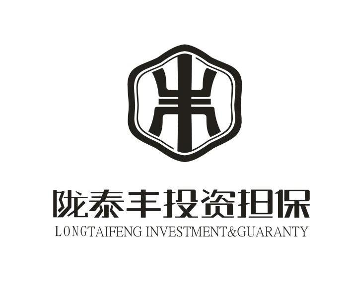 陇泰丰投资担保 longtaifeng investment & guaranty