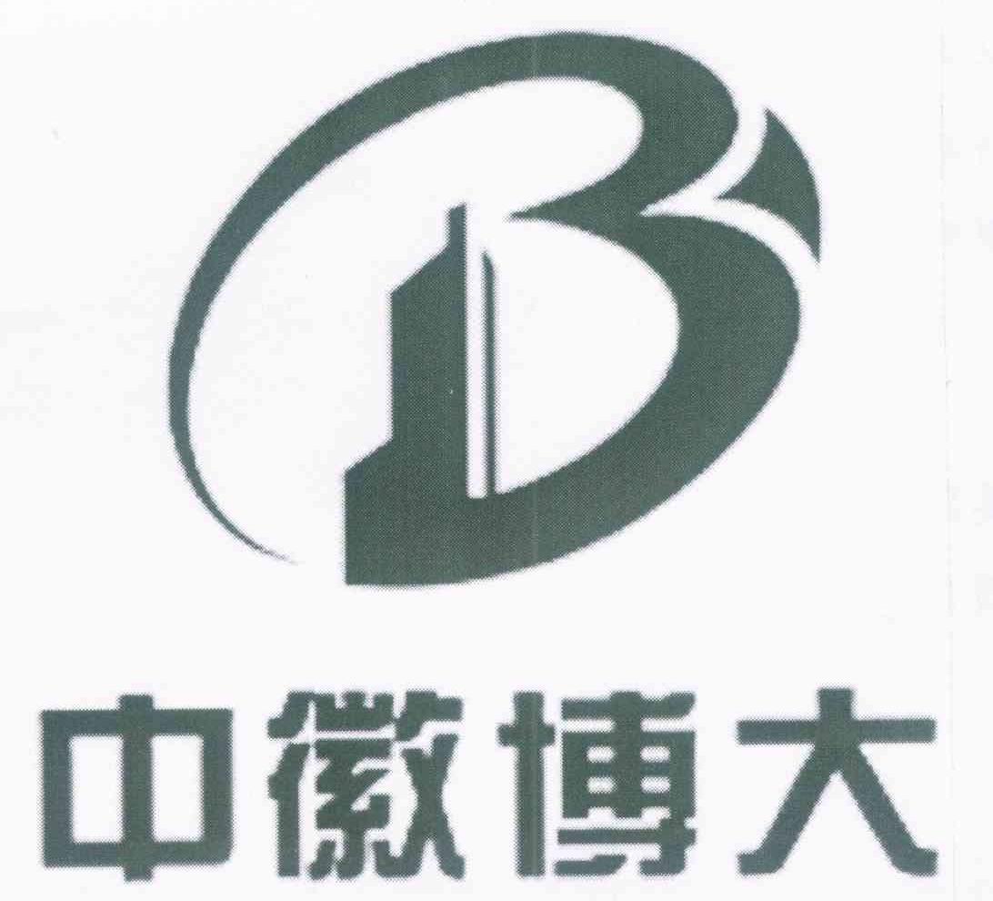 中徽博大建设工程有限公司