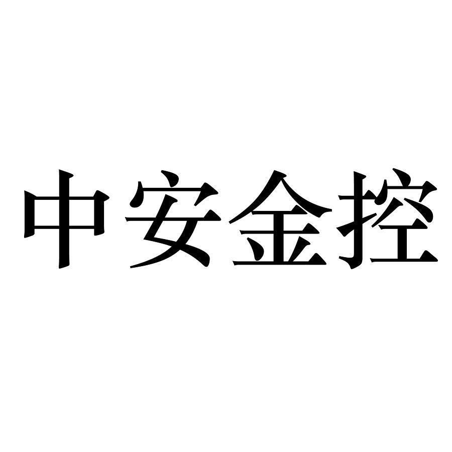 中安金控