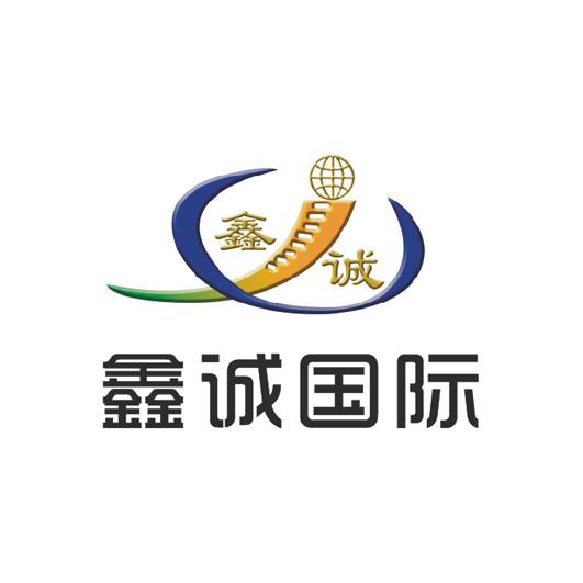 鑫诚国际工程咨询有限公司