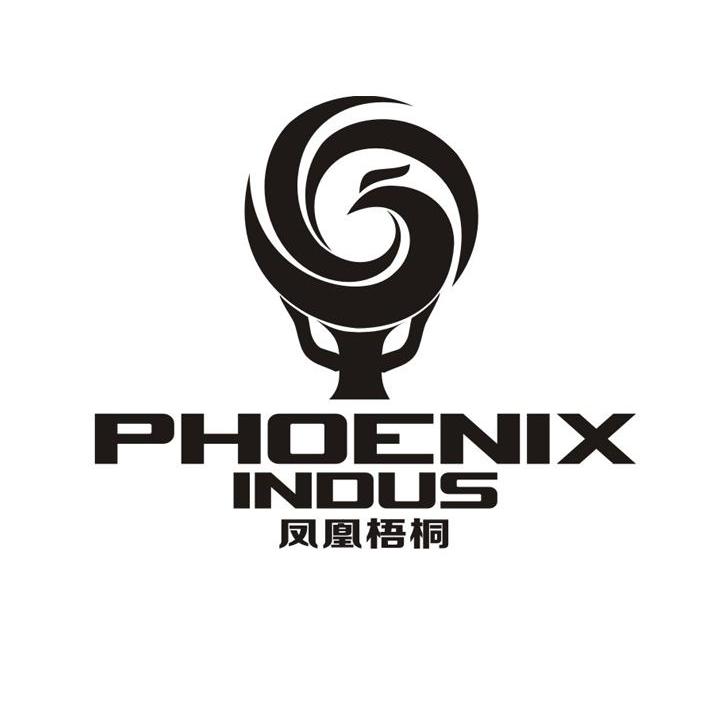 凤凰梧桐 phoenix indus