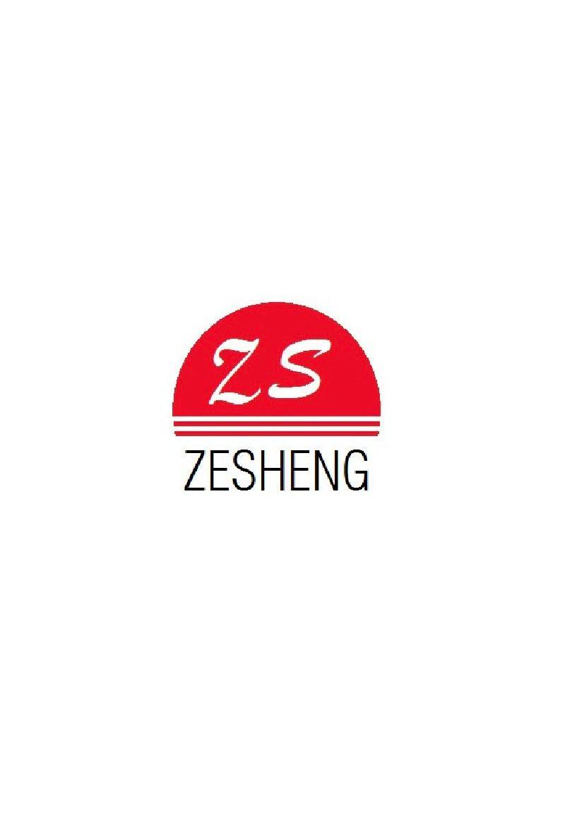 zesheng zs