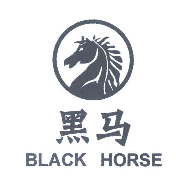  em>黑马 /em>;black horse