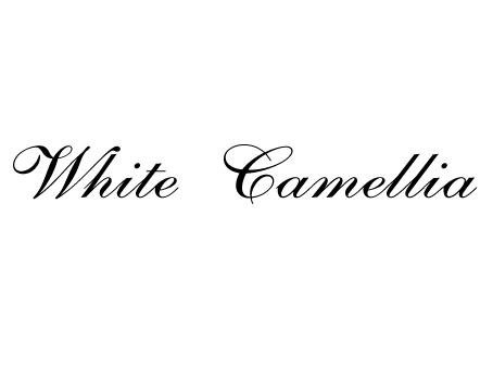 white camellia