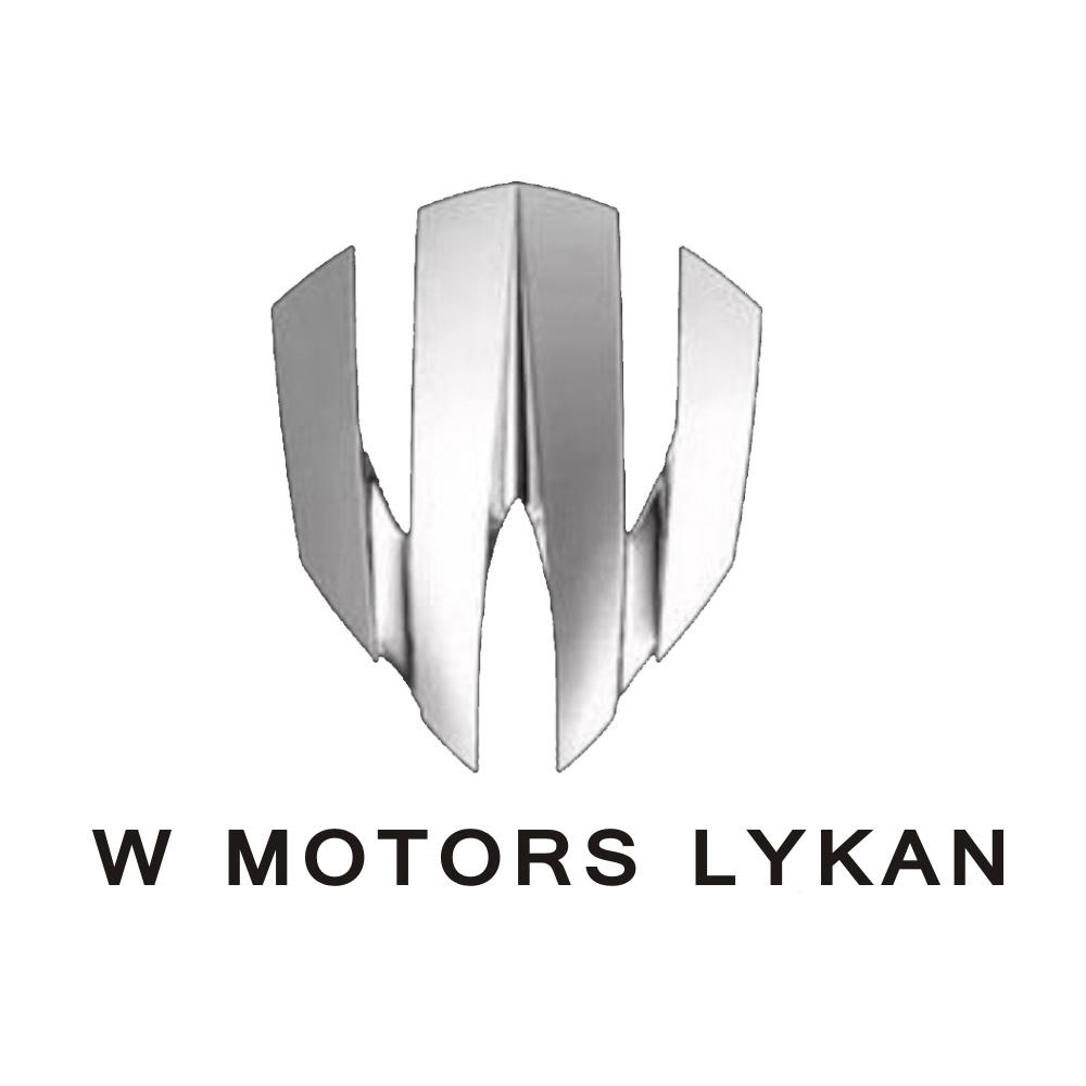  em>w /em> motors lykan  em>w /em>